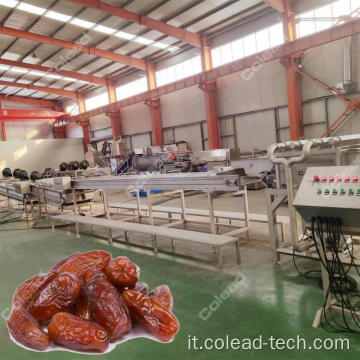 Linea di elaborazione delle date di palma in Egitto industriale